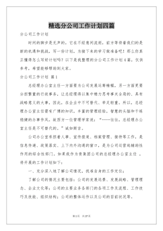 分公司工作参考计划四篇