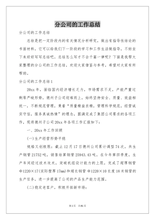 分公司的工作参考总结