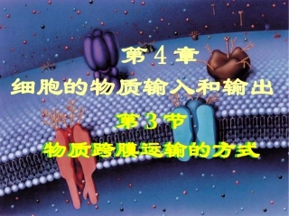 物质跨膜运输方式