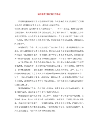 试用期员工转正的工作总结