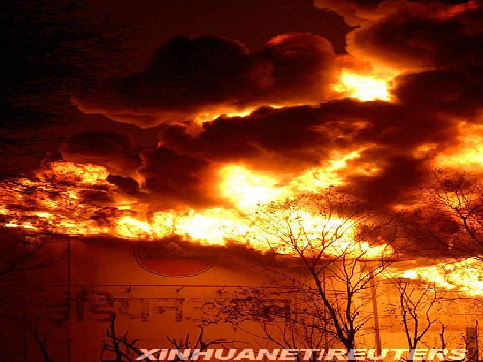 《地震中的父与子》_第3页