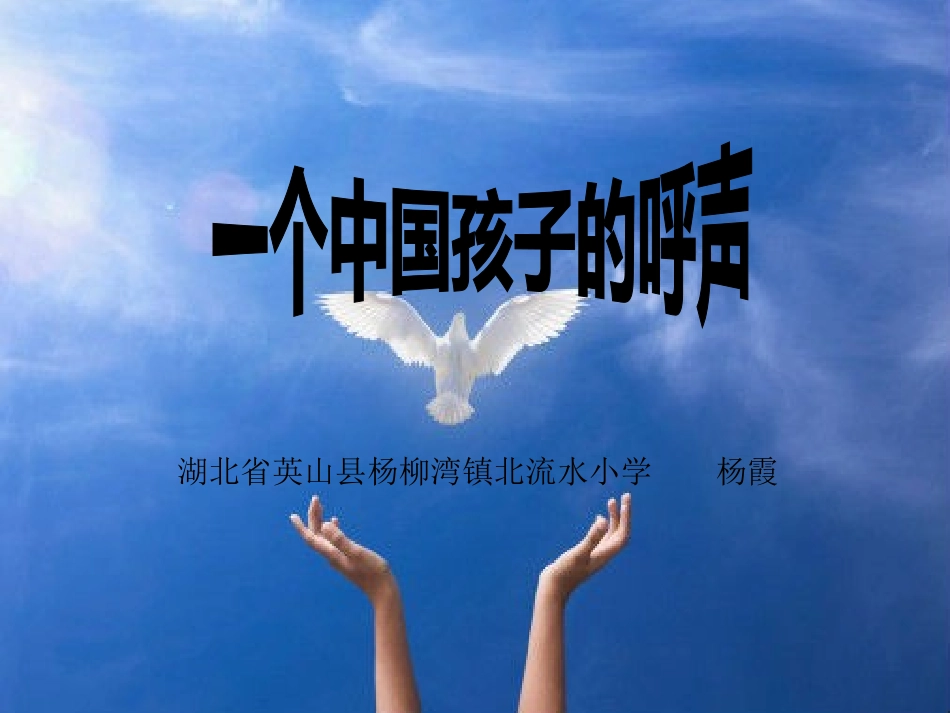 一个中国孩子的呼声_第1页
