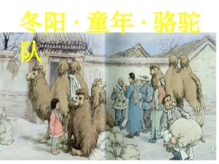 、冬阳童年骆驼队