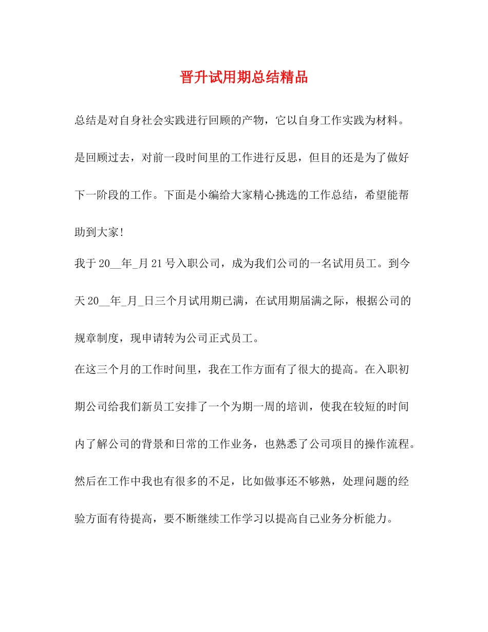 晋升试用期总结精品_第1页