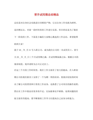 晋升试用期总结精品