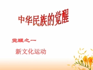 中华民族的觉醒3