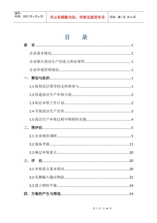 某制带有限公司清洁生产审核报告