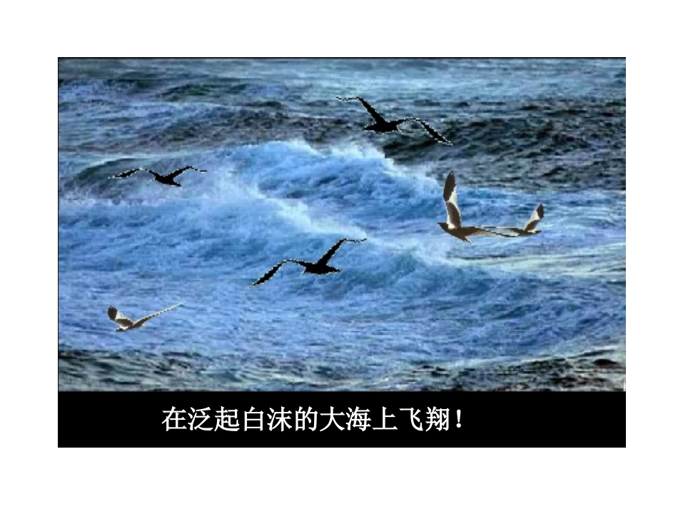《海燕》PPT课件_第3页