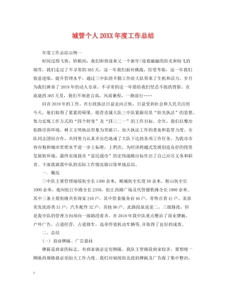 城管个人度工作总结