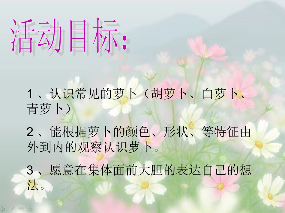 小班科学活动《认识萝卜》_第2页