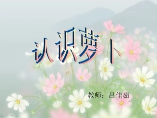 小班科学活动《认识萝卜》