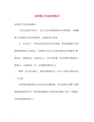 试用期工作总结的格式