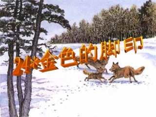 《金色的脚印》课件