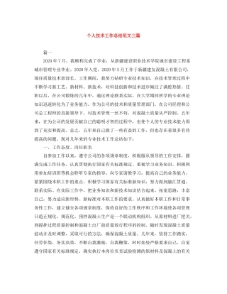 个人技术工作总结范文三篇