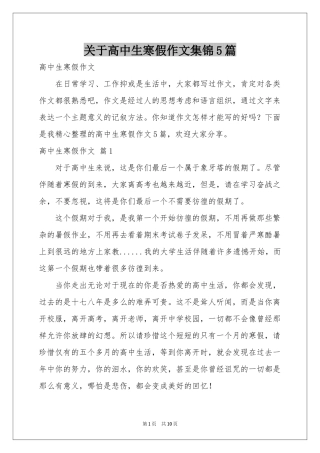 关于高中生寒假作文集锦5篇
