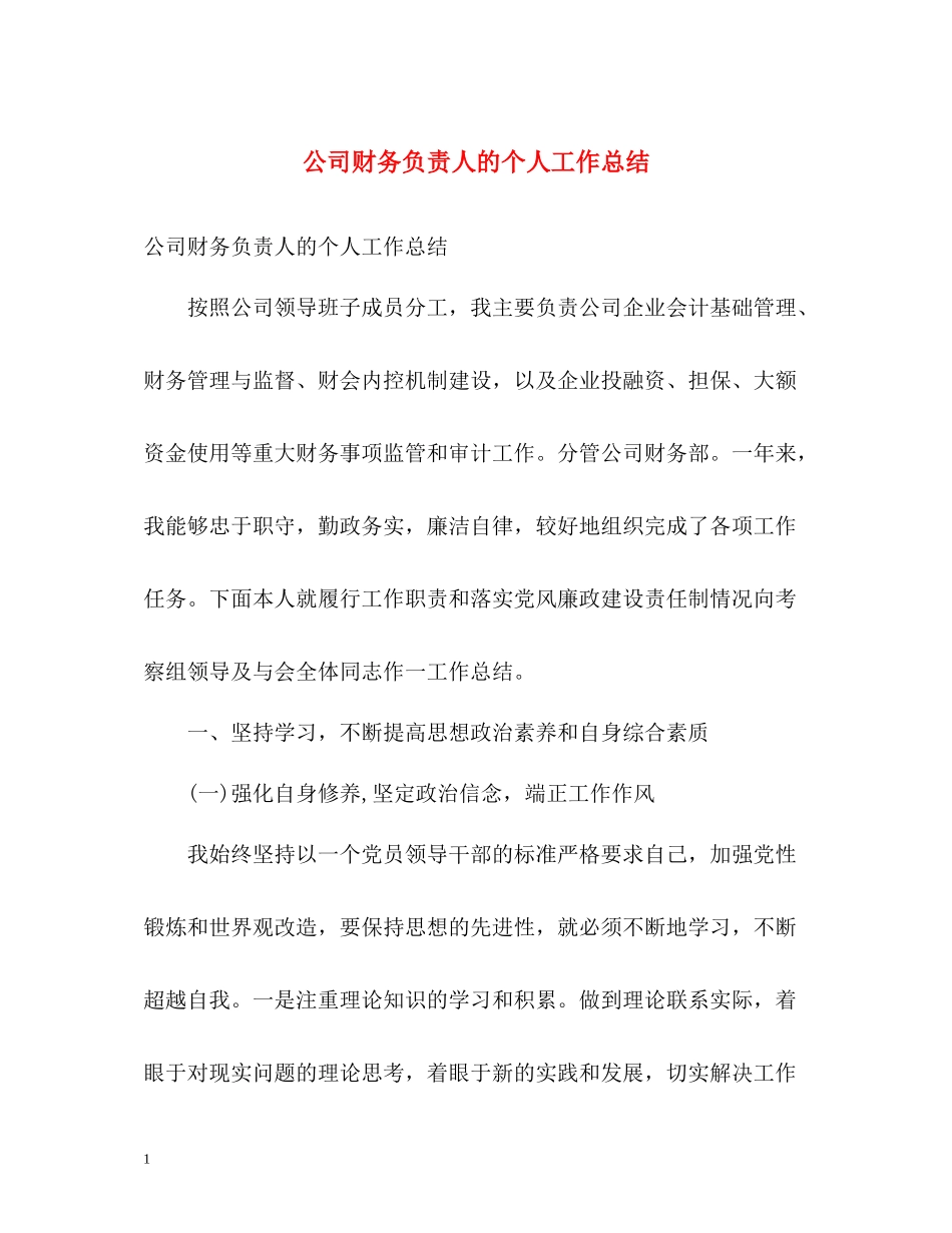 公司财务负责人的个人工作总结_第1页