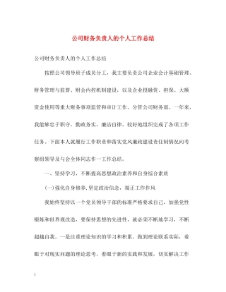 公司财务负责人的个人工作总结