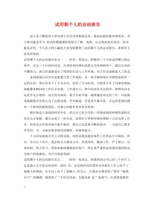 试用期个人的总结报告