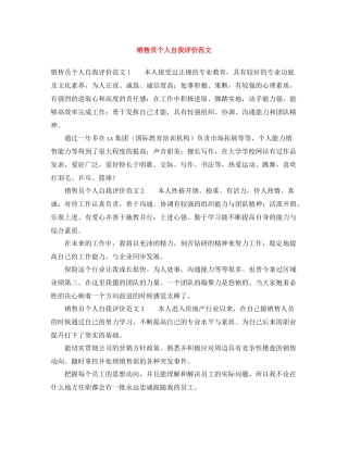 销售员个人自我评价范文