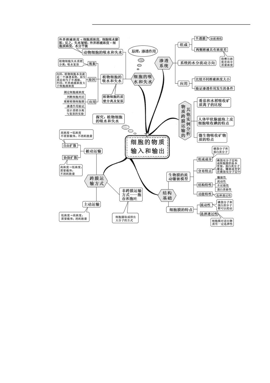 新课标高中生物全套思维导图_第2页