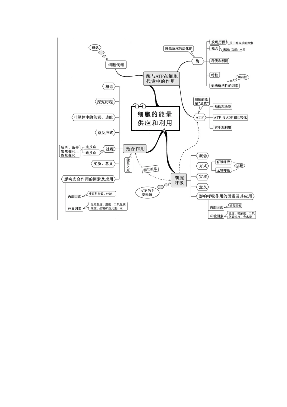 新课标高中生物全套思维导图_第3页