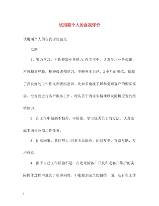试用期个人的自我评价