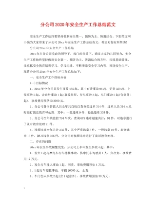 分公司年安全生产工作总结范文