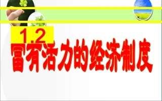 富有活力的经济制度第一课时