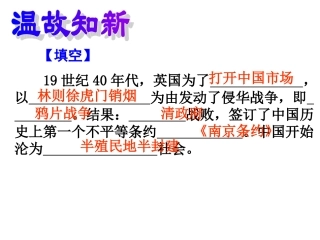 第二次鸦片战争与太平天国运动 (4)