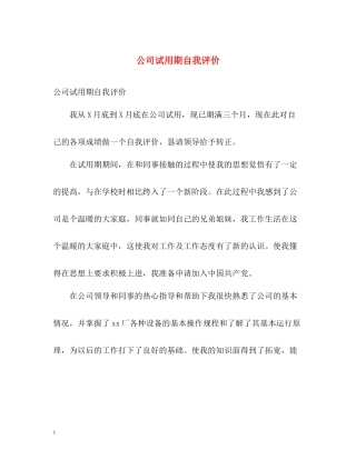 公司试用期自我评价