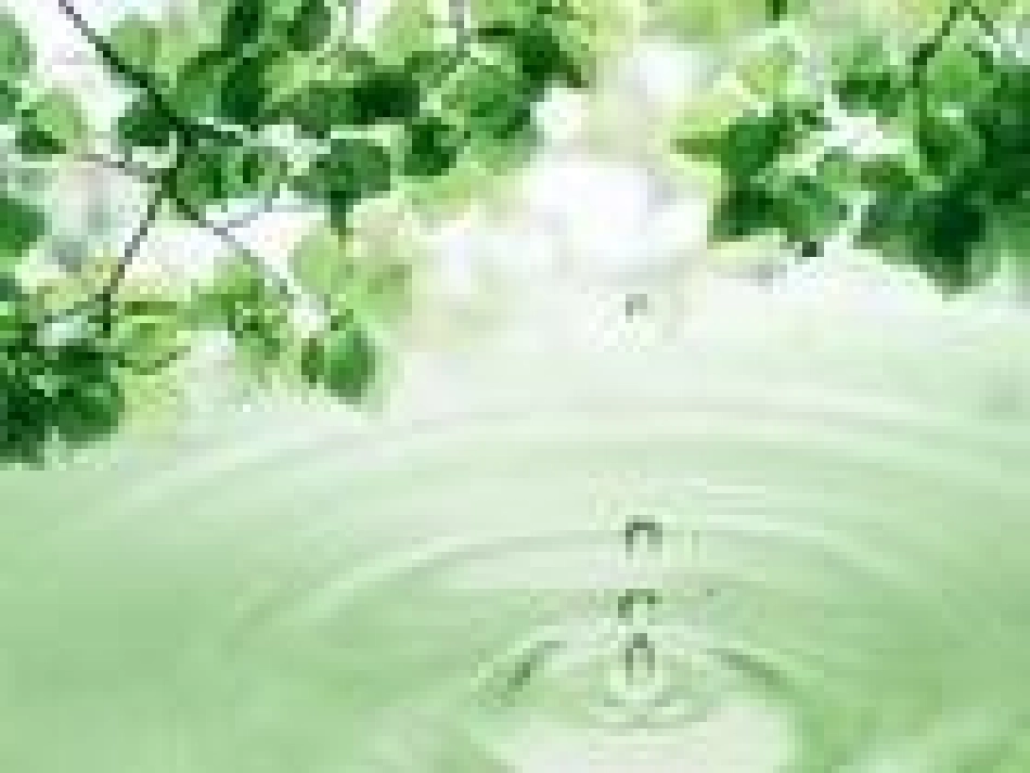不用种子也能繁殖吗？（PPT）(1)_第3页