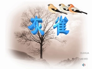 灰雀PPT课件课时