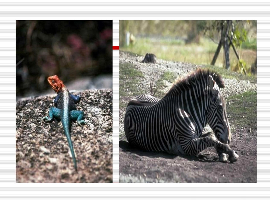 《我的呼吁》_第3页