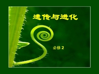 孟德尔的豌豆杂交实验(一)分离定律