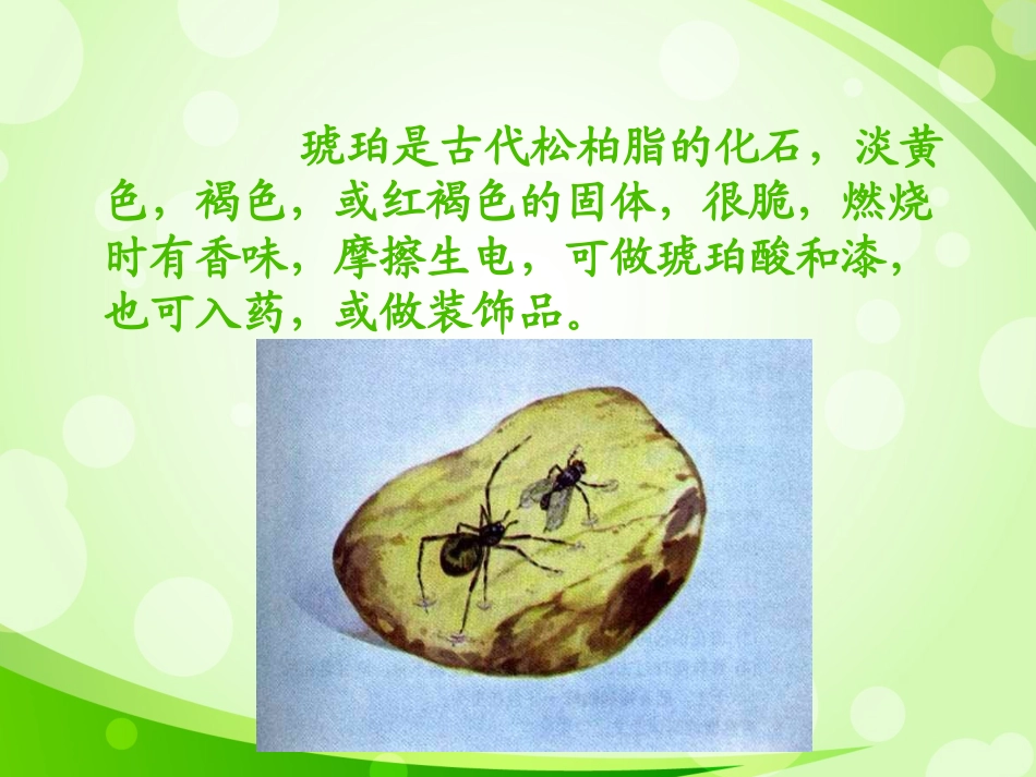 优质课琥珀课件(北师大版语文六年级下册)(2)_第2页