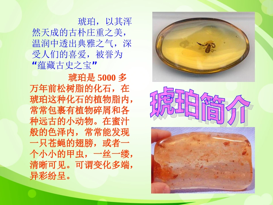 优质课琥珀课件(北师大版语文六年级下册)(2)_第3页