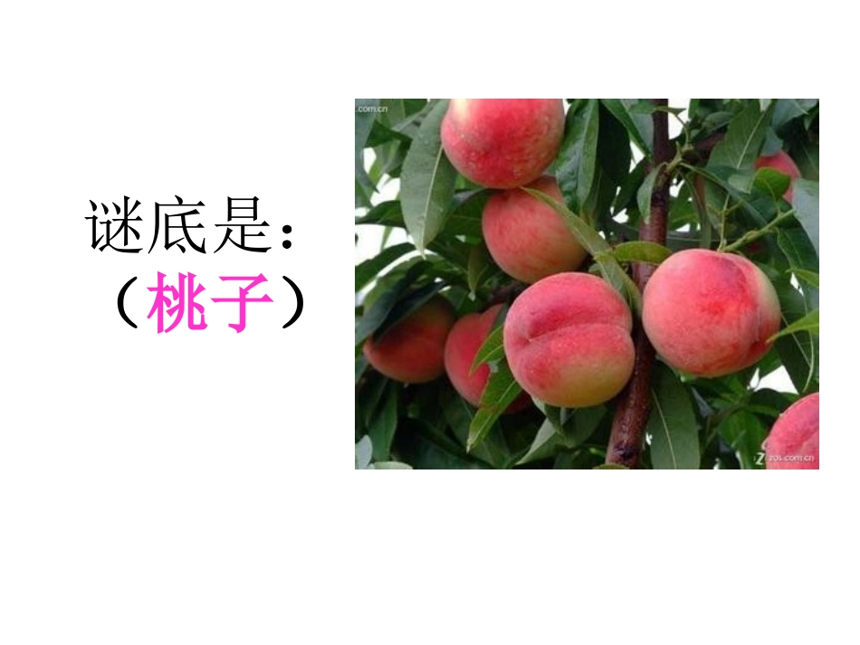 各式各样的水果课件PPT_第2页