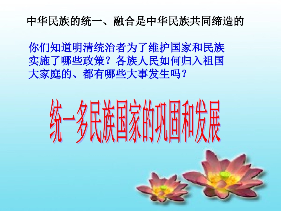 统一多民族国家的巩固和发展_第2页