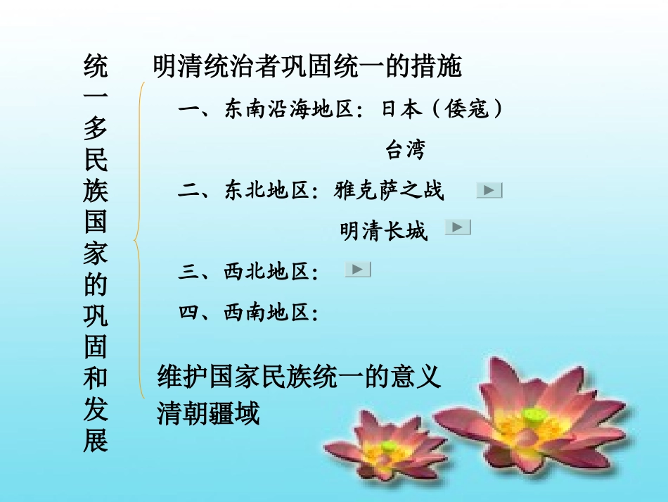 统一多民族国家的巩固和发展_第3页