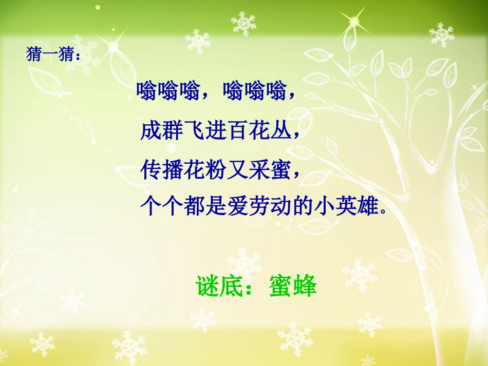 《蜜蜂引路》曦的公开课课件 ()_第2页