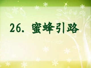 《蜜蜂引路》曦的公开课课件 ()