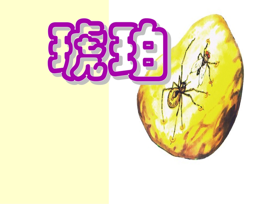 《琥珀》上课课件_第2页