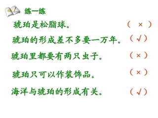 《琥珀》上课课件