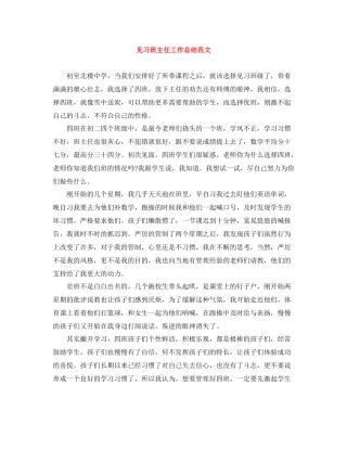 见习班主任工作总结范文