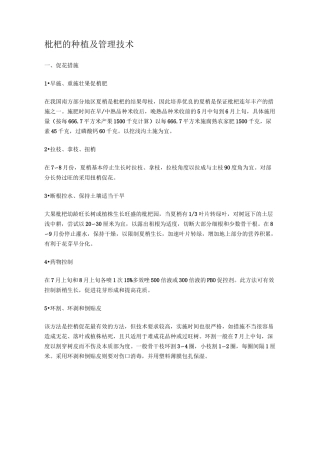 枇杷的种植及管理技术