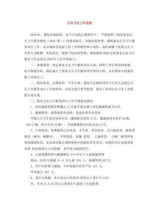 公共卫生工作总结3