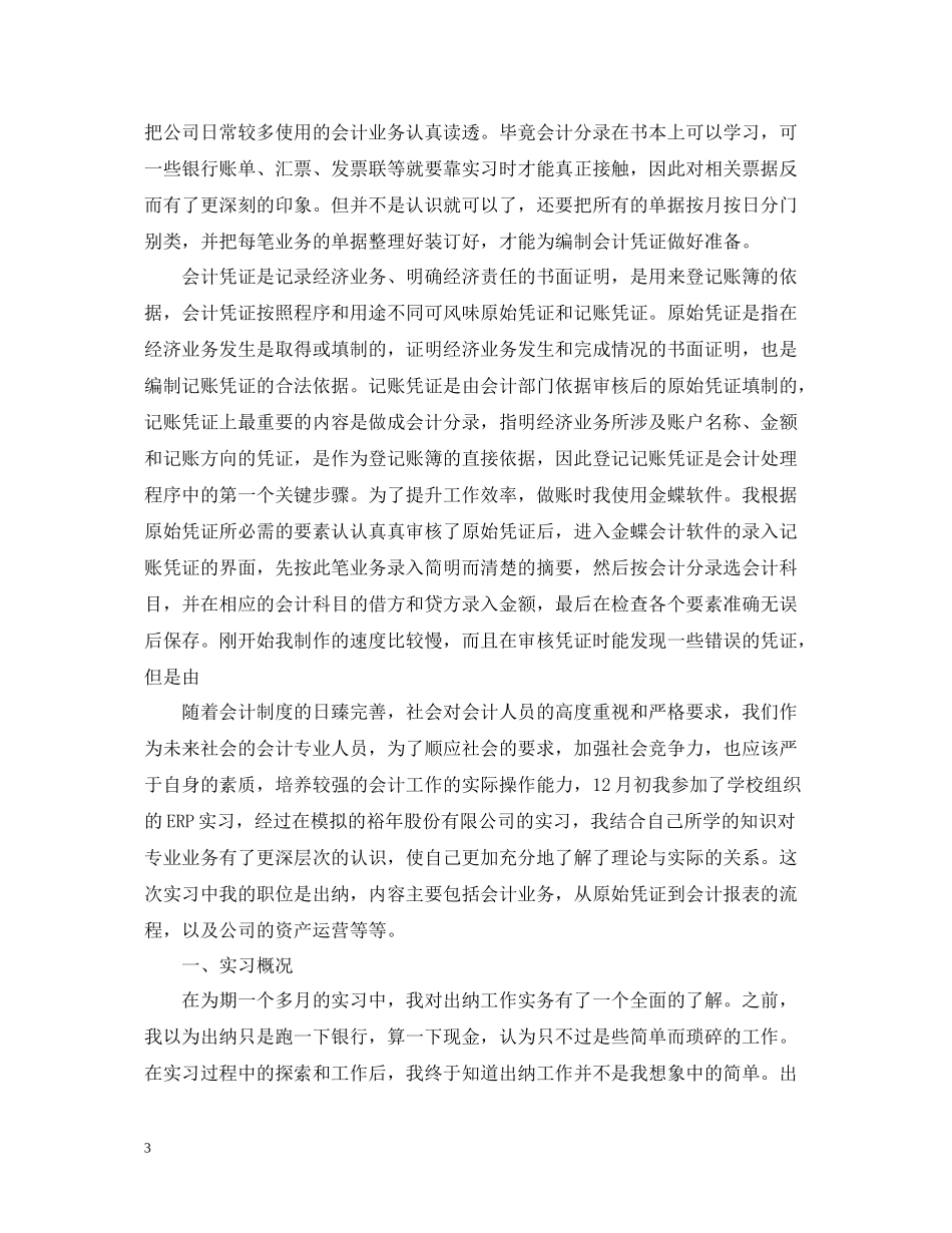 出纳实习总结3000字_第3页