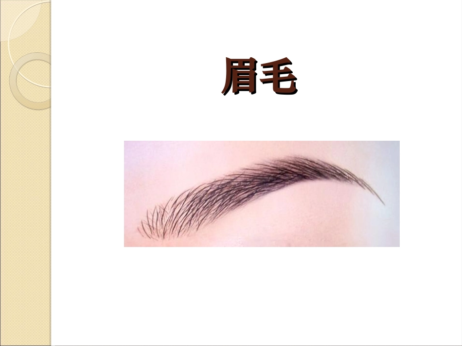 认识五官课件_第3页