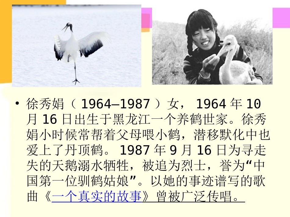 八年级Unit5Morepractice_第3页