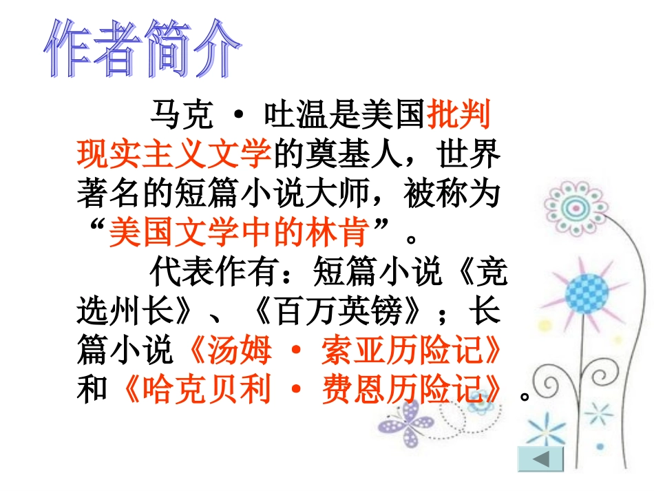 《汤姆索亚历险记》优秀课件PPT_第3页